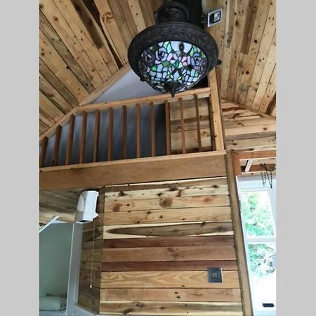 The Shed . A Cosy, Peaceful, 96% Recycled, Chalet. Swansea Ngoại thất bức ảnh