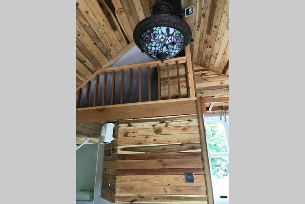 The Shed . A Cosy, Peaceful, 96% Recycled, Chalet. Swansea Ngoại thất bức ảnh