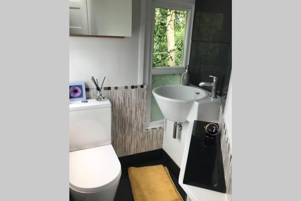 The Shed . A Cosy, Peaceful, 96% Recycled, Chalet. Swansea Ngoại thất bức ảnh