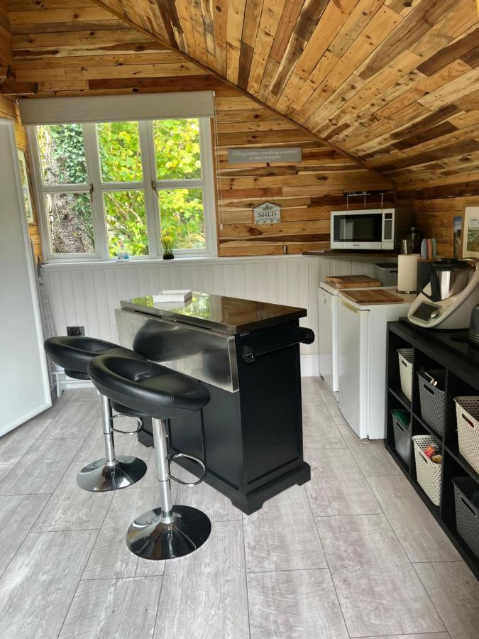 The Shed . A Cosy, Peaceful, 96% Recycled, Chalet. Swansea Ngoại thất bức ảnh