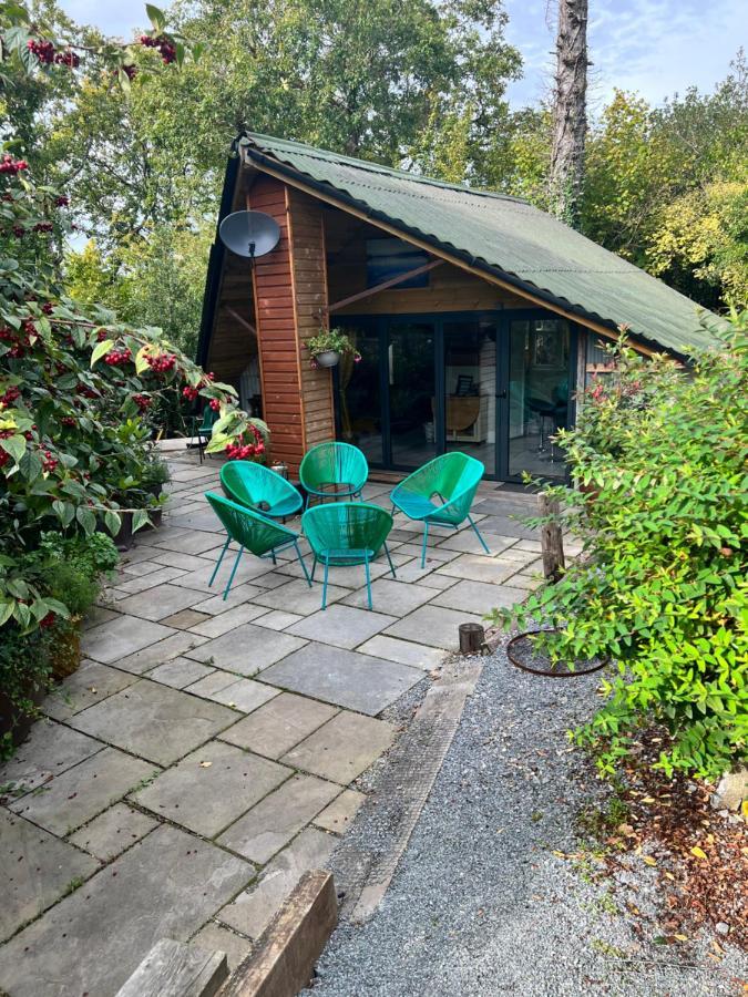 The Shed . A Cosy, Peaceful, 96% Recycled, Chalet. Swansea Ngoại thất bức ảnh